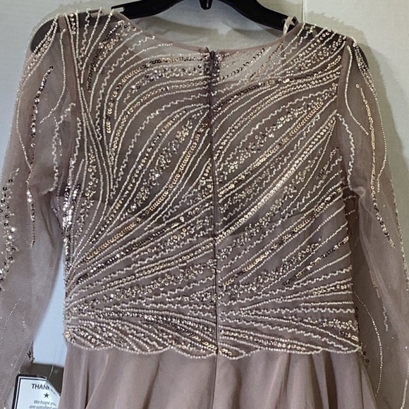 Xscape Evenings Long Chiffon Dress with Illusion Sequin Long Sleeves (Blush) - Picture 9 of 11